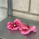 포레스트타임