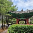 HM회복탄력성 심화 과정을 참관하며 인왕산 둘레길 첫번째 코스를 가다 이미지