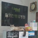 활기찬동물병원 이미지
