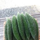 이재석 농장 이미지