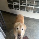 땡스마미 이미지