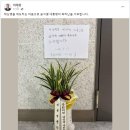 오갈 곳 없는 ‘대통령의 축하 난 화분' 이미지