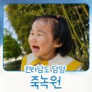에덴 유치원 | [아이와 담양 죽녹원] 후문으로 들어가세요 (주차장, 소요시간, 입장료 상세후기)