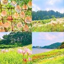 부안변산마실길 이미지