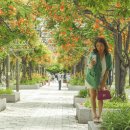 부천중앙공원 이미지