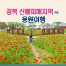 동해해상관광호텔(주) 이미지