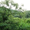 설악농장 이미지