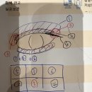 또분 이미지