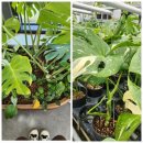 크린MT | [앨리스팜] 1박 2일 현장실습교육 다녀온 후기