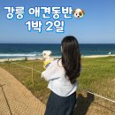 은가비짬뽕 - 논산시 계백로 1575 | 강릉 애견동반 여행 코스 기록 맛집 숙소 카페 1박2일 모두 내돈내산