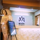 세미타이어 이미지