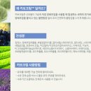 푸른나무아래약국 이미지