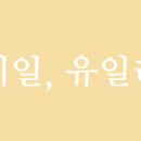 네일유일리