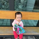 초록세탁소 이미지