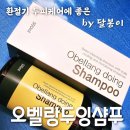 환절기 두피케어에 좋은 오벨랑 두잉 샴푸(기분좋은 선물 후기)