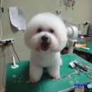 달링동물병원 이미지