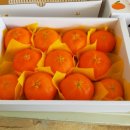 주산농장 이미지