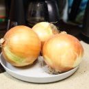 함양농장 | 산지직송 함양양파 단단함이 다른 대형 크기 진짜 양파 심봤다