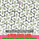 겹치지 않는 무한 패턴은 가능할까? 수학계 50년 난제, 비주기적 타일링 해결되다 이미지