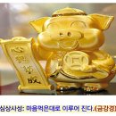 꾸씨