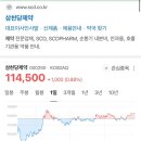 동보개발 - 화성시 동화역말길 53-20 | 동보개발