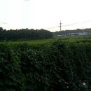 오주농장 이미지