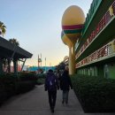 KING CAR | [올랜도] 올랜도 디즈니월드 파크호퍼 후기 part.1 (애니멀킹덤 &amp; 할리우드스튜디오 &amp; 매직킹덤)