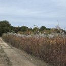 전주지방법원 남원지원 이미지