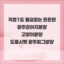 광주강아지분양 고양이분양 다루펫 광주점 | 걱정1도 필요없는 든든한 광주강아지분양 고양이분양 도로시펫 광주퍼그분양