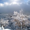 산인-9 이미지