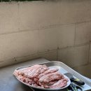 동강별아래 이미지