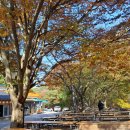 서산터널 화장실 이미지