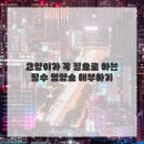 댕댕이밥상 이미지