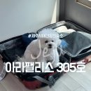 제주시애견동반숙소 아라팰리스 305호 후기