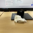 프랭크버거 조선대점 이미지