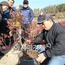 회진농장 이미지