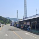 정자네횟집