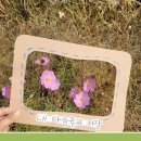 공립 사랑숲어린이집 이미지