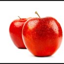 무주반디농장 이미지