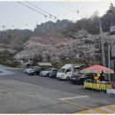 유달산의 아침 이미지