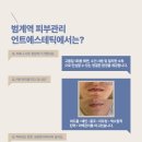 UNT 에스테틱