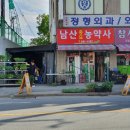 남산농약사 | 2020.06.13 천안중앙시장 모종구매후기+베란다에 생긴 텃밭. 무럭무럭 자라라 초록초록 친구들🌲🌿🌴🌾🌵