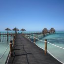 고대1107 이미지