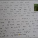 선흘 스카이 | 제주일주일살기후기_제주레이지마마_그리는제주손님손글씨_&#34;오늘은친구에게말을걸어보겠어&#34;
