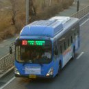 삼화상운 이미지