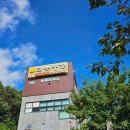 659 | [안동 카페 추천] 북카페통659 내돈내산 후기(feat. 고양이카페 처음 가본 자의 설렘ㅎ)