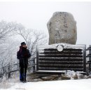 바람개비 이미지