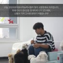 웬만해선 개들을 막을 수 없다 이미지