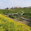 약사동제방유적전시관 이미지