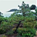 예림조경 네이버블로그